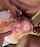gangbang blonde hot