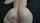 creampie slapping discor