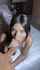 blowjob sloppy teen