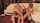 threesome sexy hot