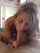 blowjob milf homemade