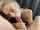 blonde white blowjob