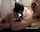 camgirl couple college