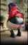 cosplay purple hair big ass