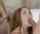 ginger redhead blowjob