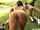 threesome lesbian crawling