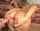 anal blonde blowjob