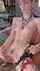 scene girl punk tattoos