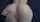 pov cum pussy
