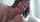 milf gilf blowjob