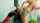 onlyfans blonde music