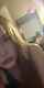 amateur redhead erome