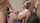 spitroast threesome petite