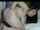 anal amateur brunette