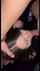 blowjob latina amateur