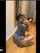 porn ad amateur twerk