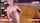 camgirl solo cam webcam girl