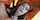 blowjob edging angel