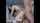 threesome double penetration white girl