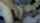 camgirl amateur accidental anal