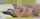 milf mother unconscious
