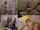 blonde forced thief