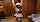 nude deena mtv