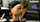 amateur dirty talking dildo riding
