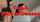 pornstar bangbros naughty america