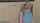 pet brooke becky