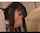 japanese jav schoolgirl