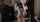 jav bbc group