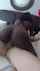 ebony big dick bwc