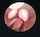 hentai hanime japan talent