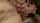 lesbians lesbian licking