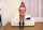 japanese anal cute