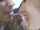 blowjob bbc cum