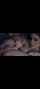 red head tattoo creampie