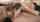 lick teens lesbian
