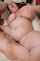 big tits bbw rough