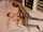 red head scene interracial