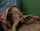 teen blonde tits
