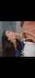 japanese brunette blowjob