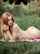 nude redhead picnic