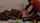 ebony amateur black