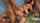 gangbang black hair double penetration