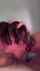 blowjob hard amateur