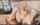 camgirl anal vaginal