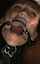 bdsm ring gag hardcore
