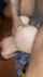 straight interracial sex